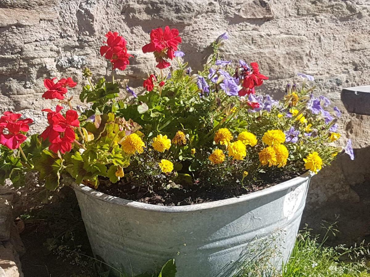 Apartament Rustico Temù Zewnętrze zdjęcie